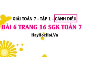 Giải bài 6 trang 16 Toán 7 Tập 1 SGK Cánh Diều